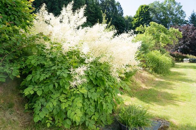 Einzelzimmer-Landhotel-Bayerwald